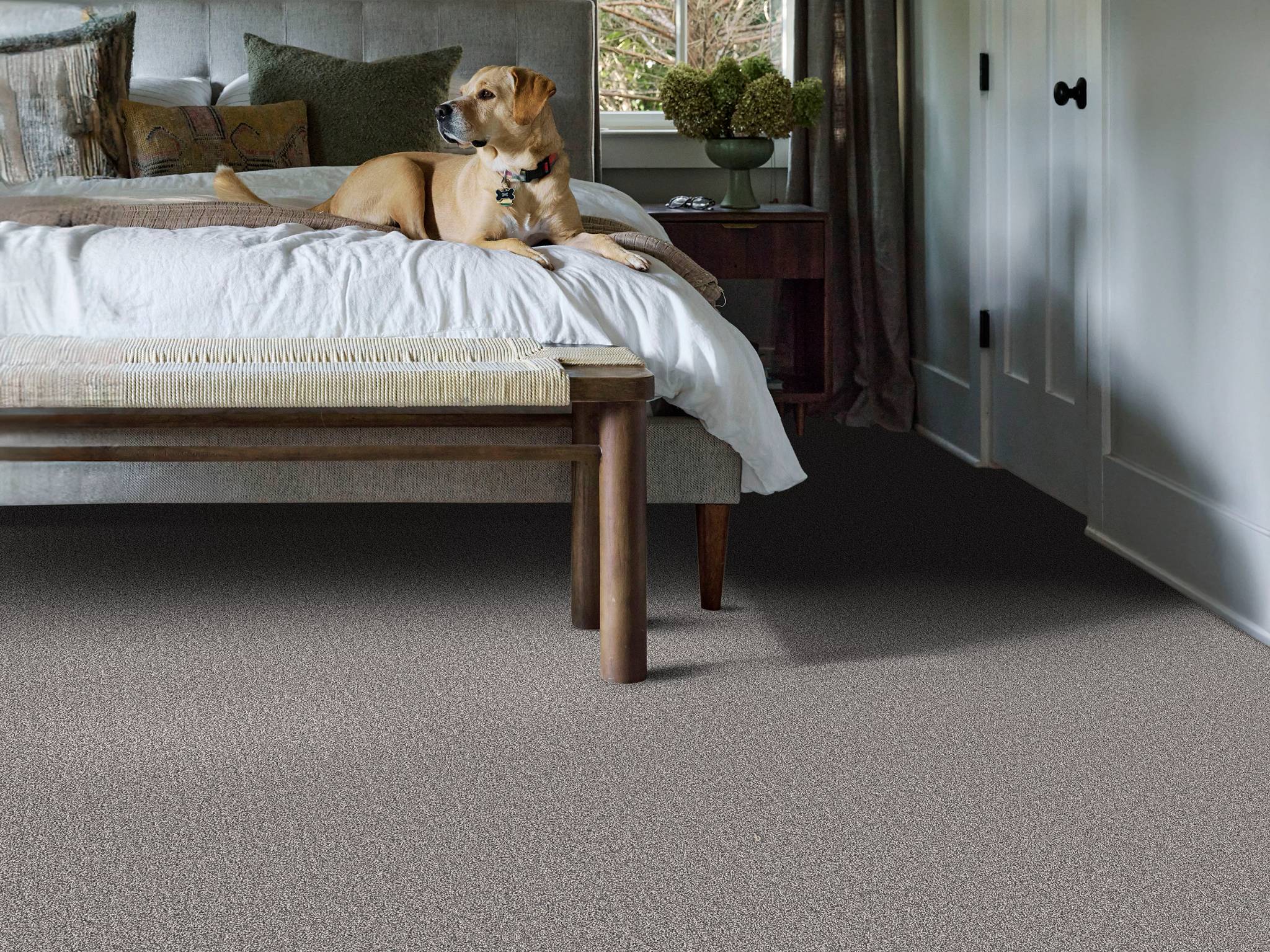 Style - Private Gateway,  Color - GRAPHIC - Room Scene