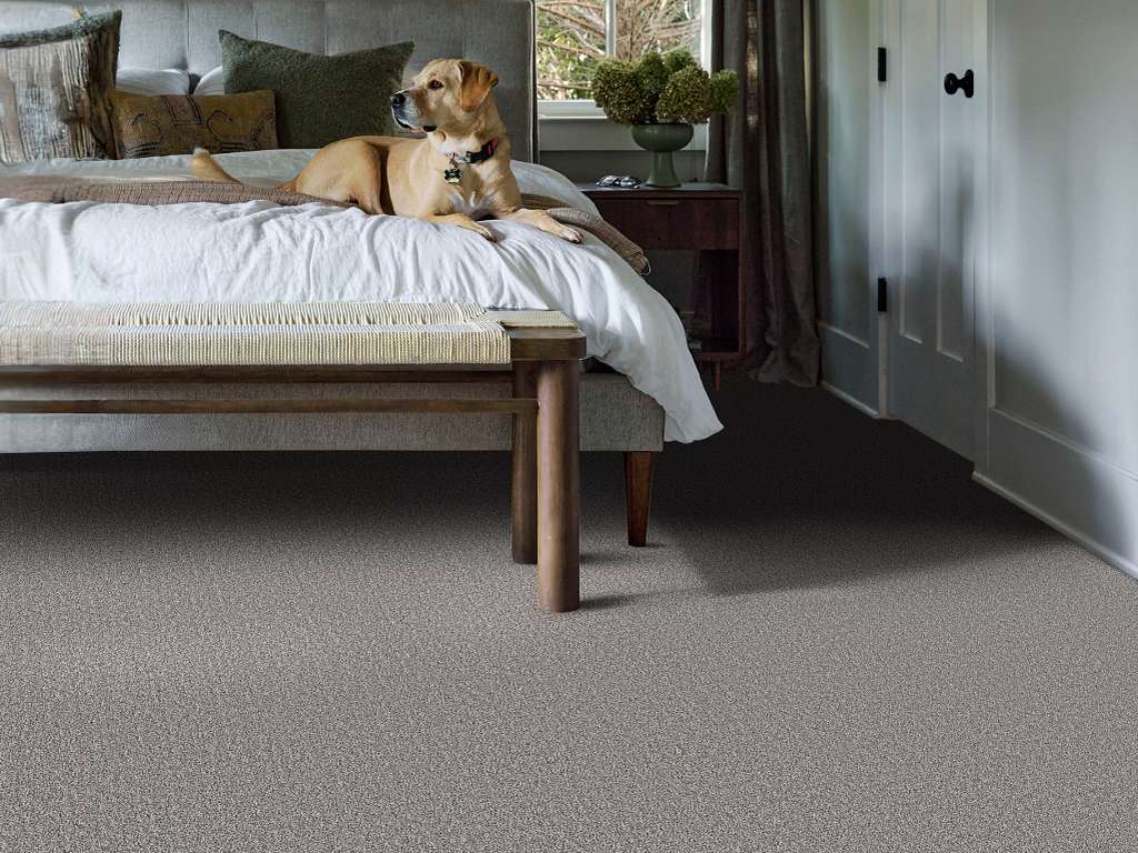 Private Gateway Carpet - Graphic Room Scene Image