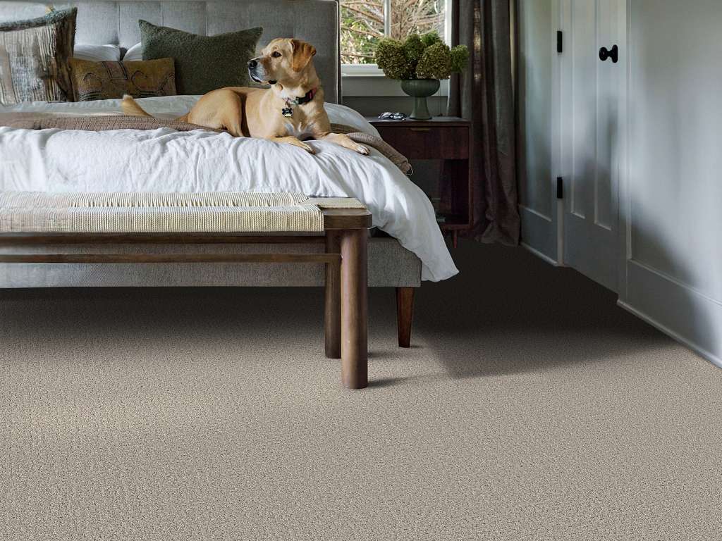 Private Gateway Carpet - Marble Room Scene Image