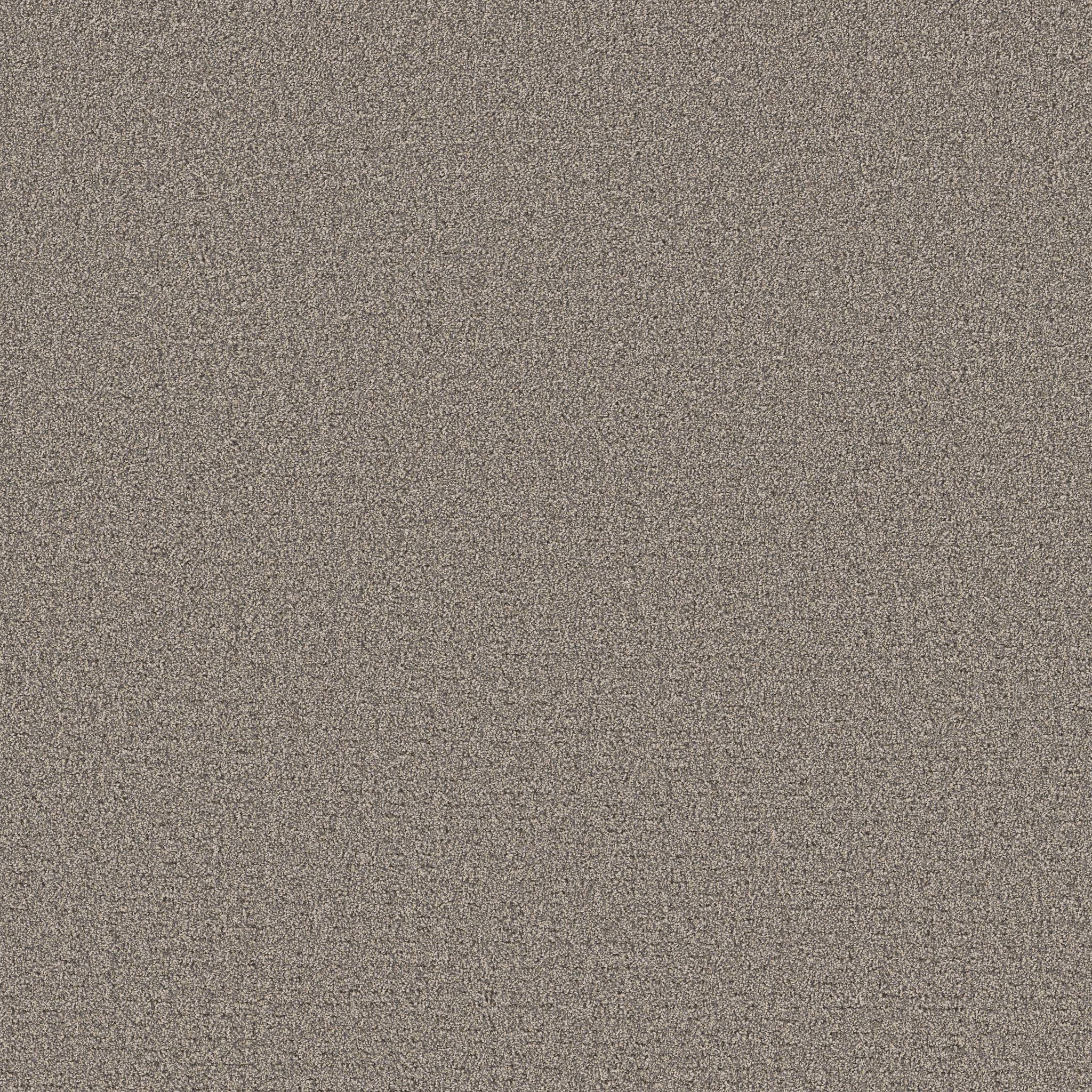 Private Gateway Carpet - Shadows Zoomed Swatch Image
