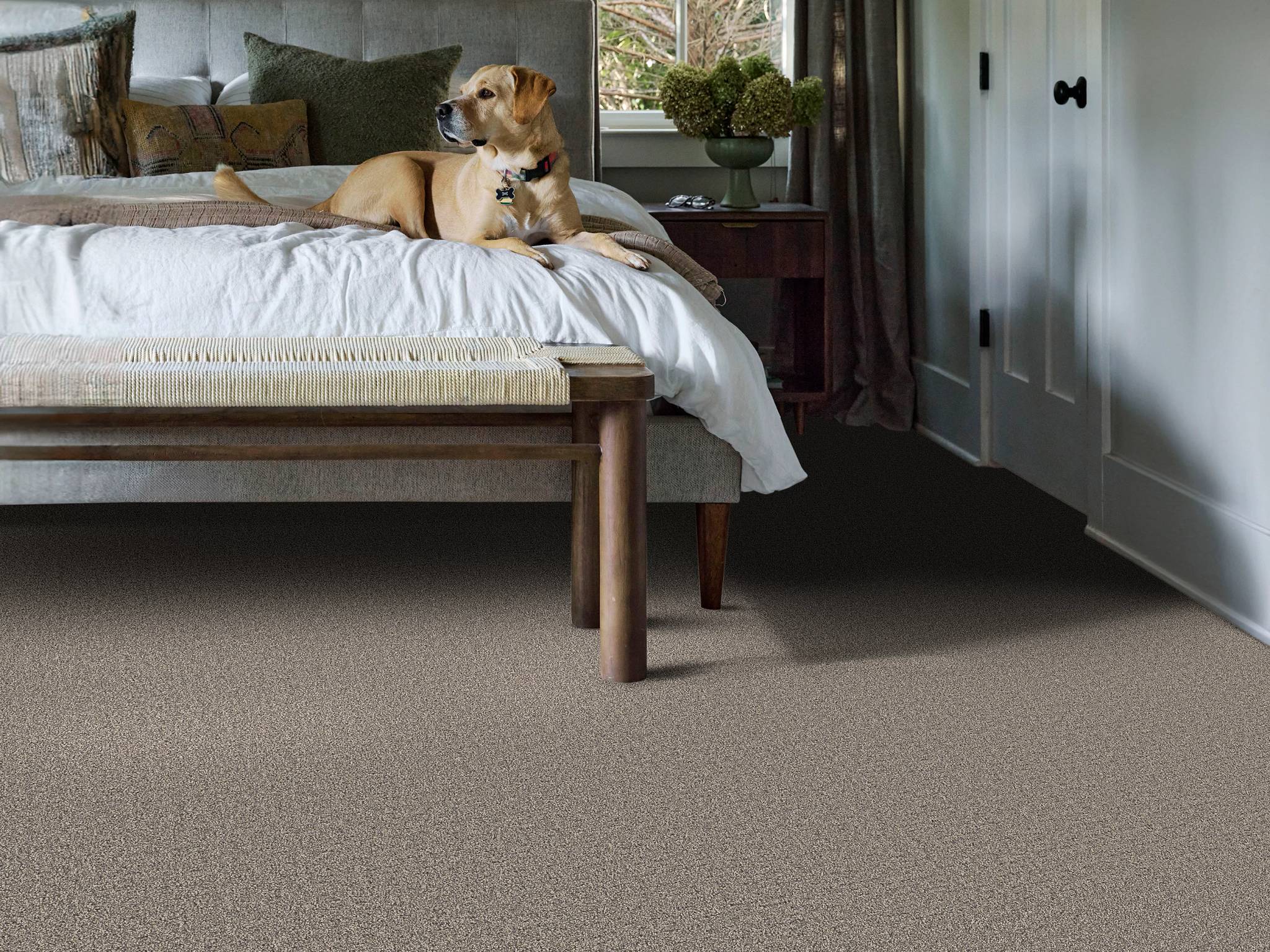 Style - Private Gateway,  Color - SHADOWS - Room Scene