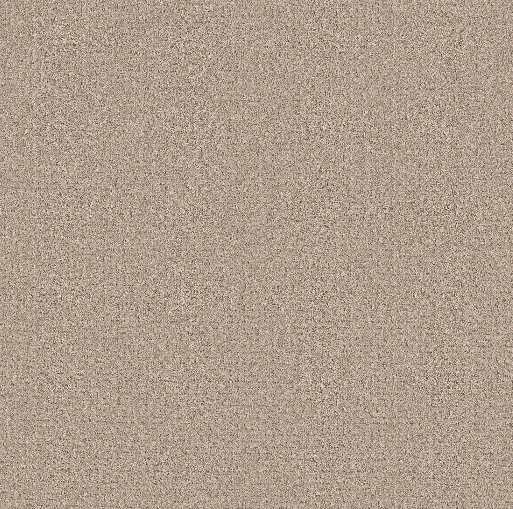 Private Gateway Carpet - Baja Zoomed Swatch Image