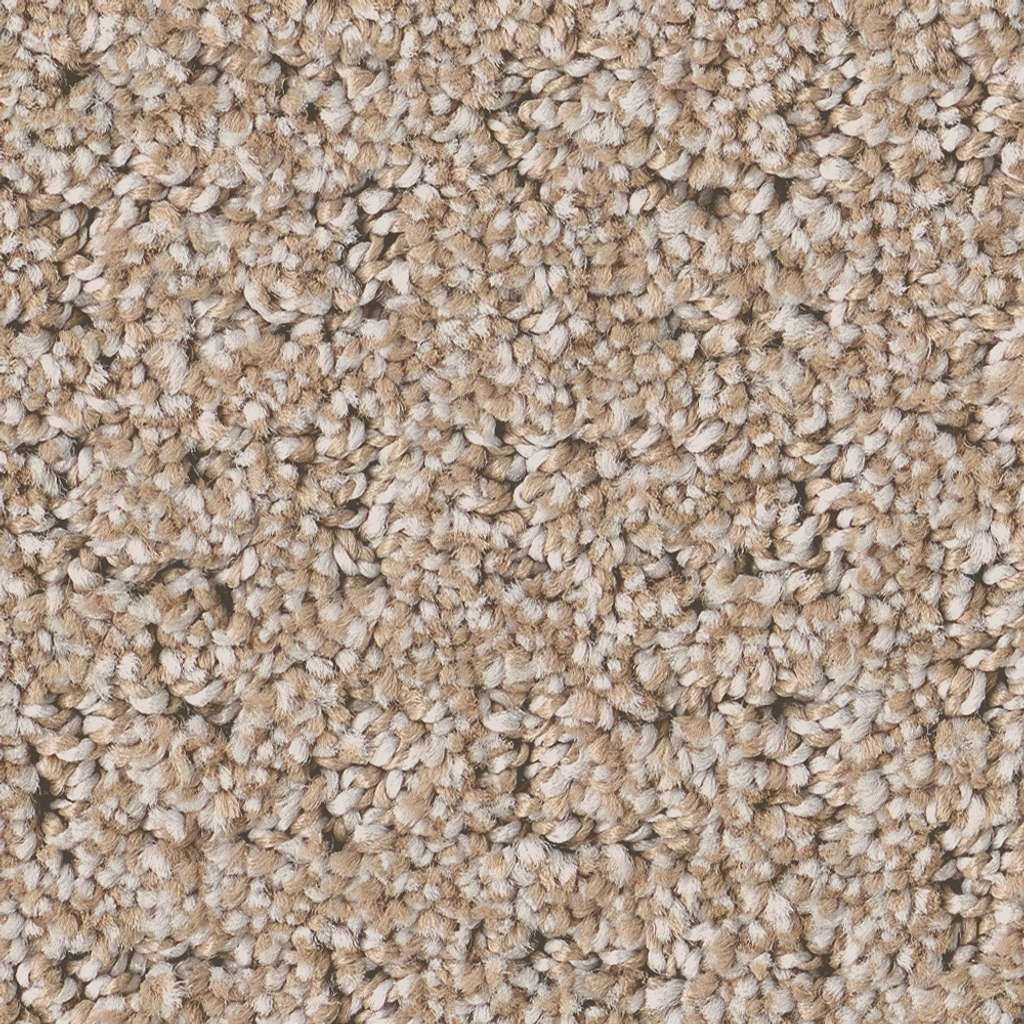 Private Gateway Carpet - Baja  Swatch Image 