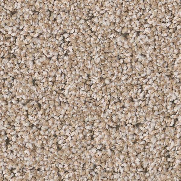 Style Private Gateway Carpet - Baja Swatch