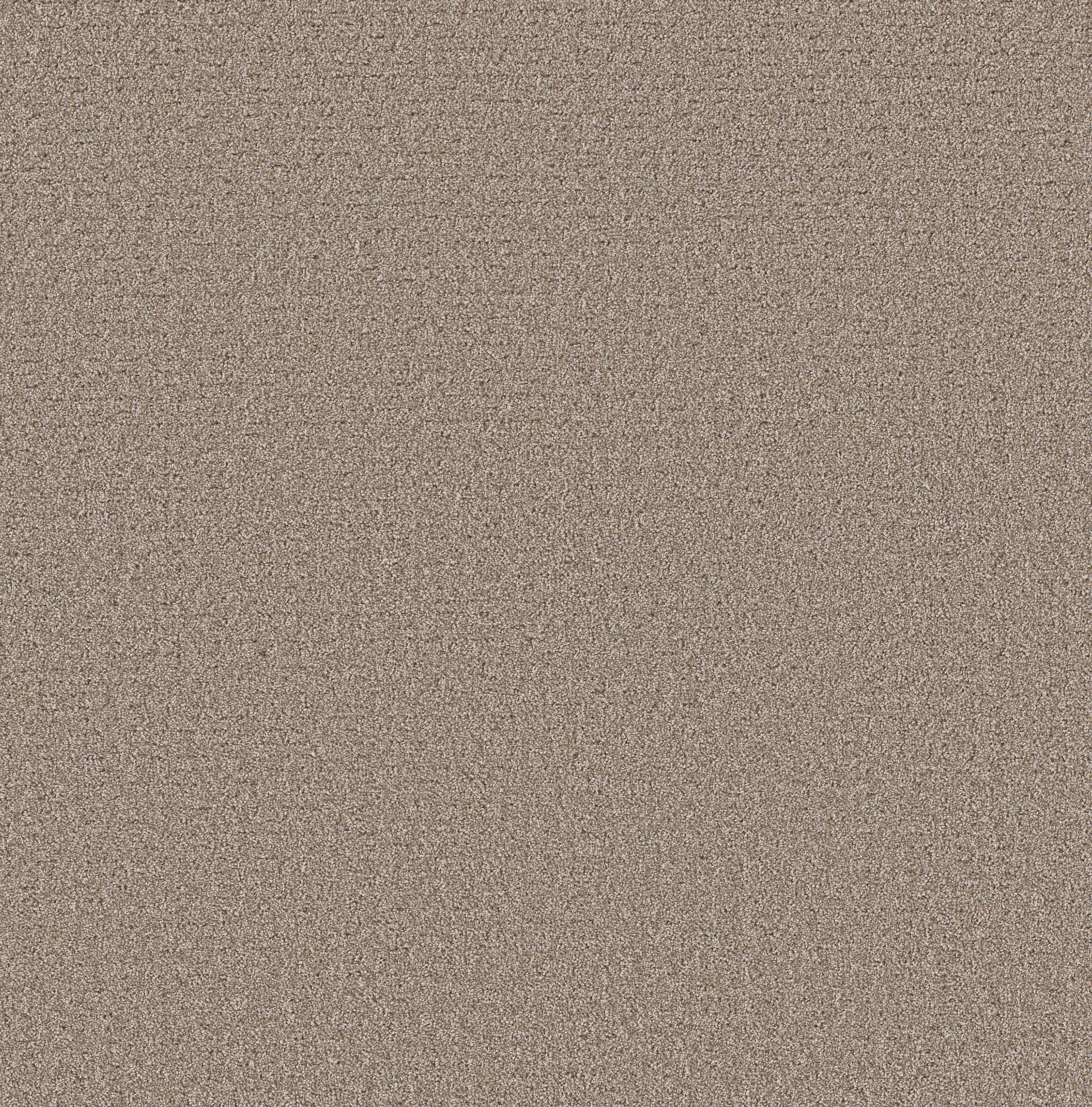 Private Gateway Carpet - Mocha Zoomed Swatch Image