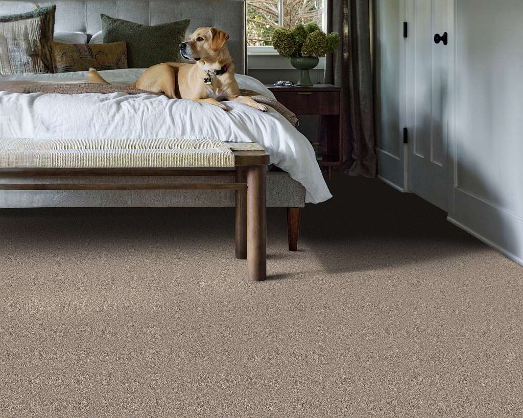 Private Gateway Carpet - Mocha Room Scene Image