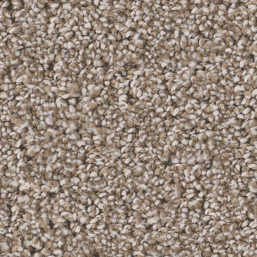 Private Gateway Carpet - Mocha  Swatch Image 