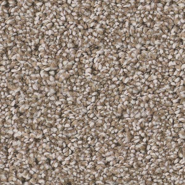 Style Private Gateway Carpet - Mocha Swatch