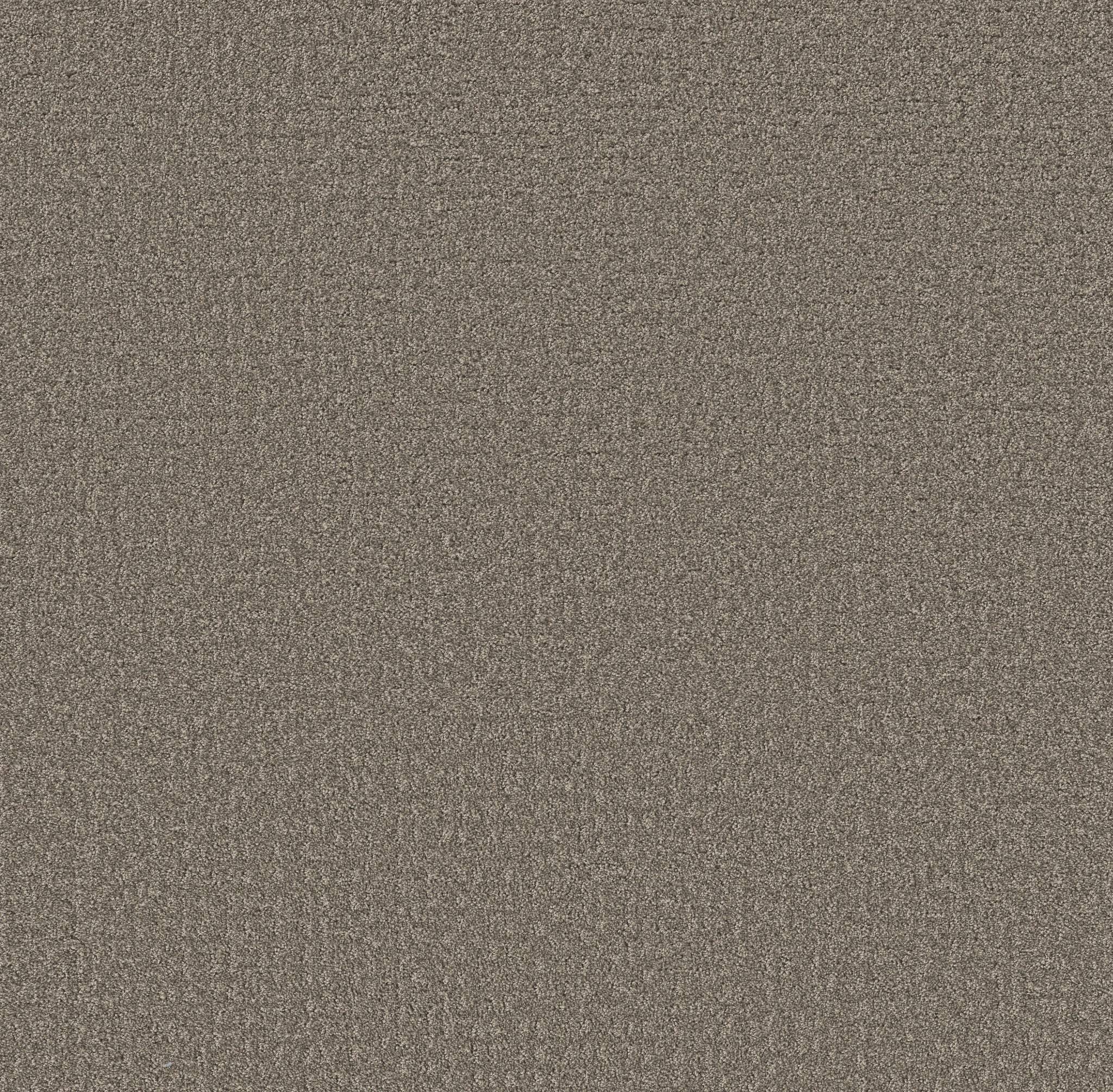 Private Gateway Carpet - Hideaway Zoomed Swatch Image