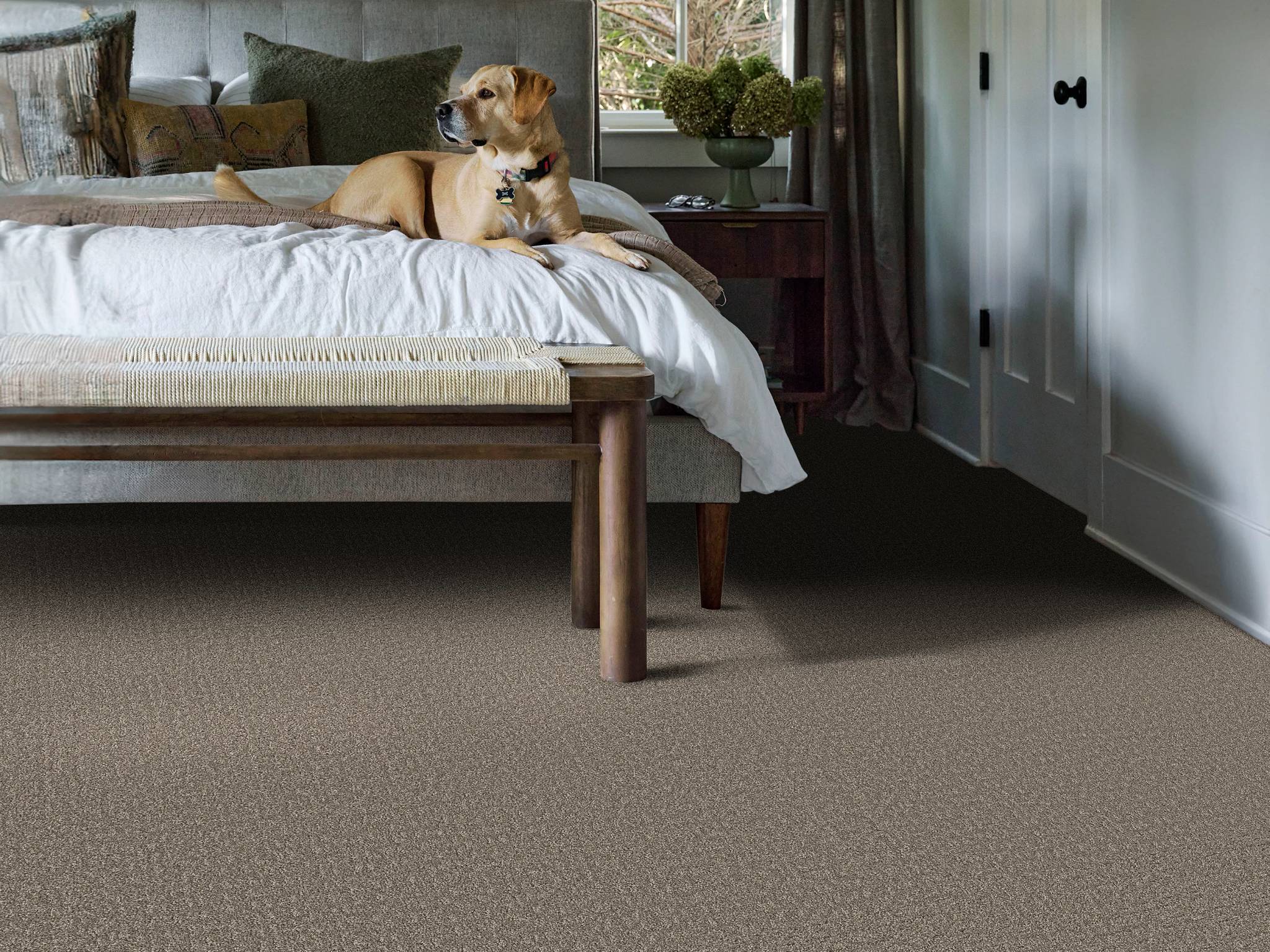 Style - Private Gateway,  Color - HIDEAWAY - Room Scene