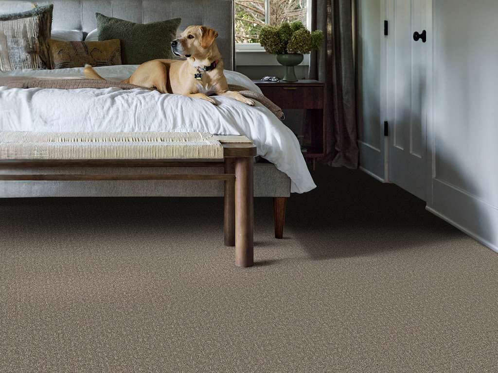Private Gateway Carpet - Hideaway Room Scene Image
