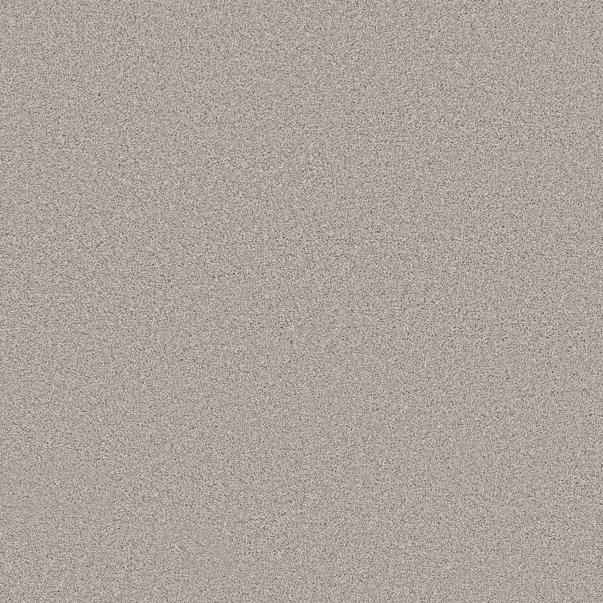 glorious direction ii smc67 - gentle wind Costco | Shaw Carpet: Berber ...