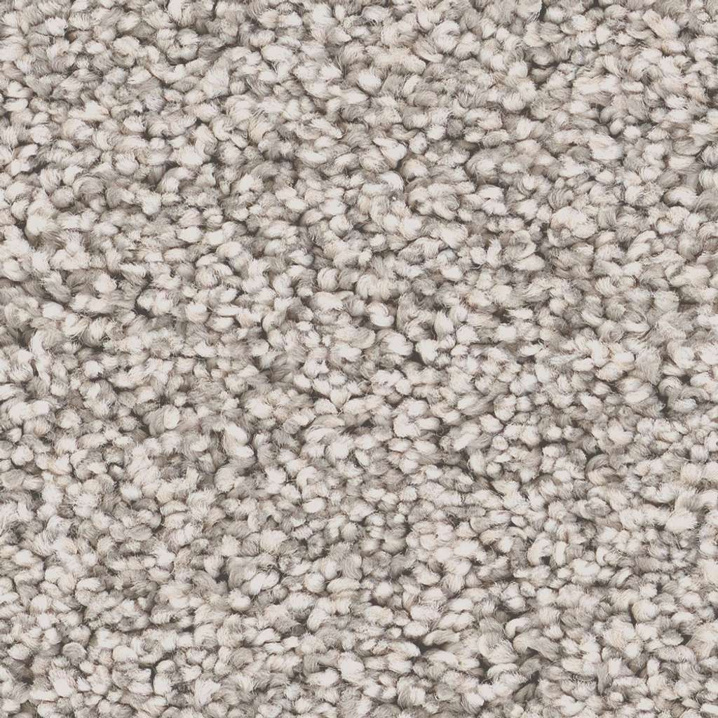 glorious direction iii smc68 - fresco Costco | Shaw Carpet: Berber ...