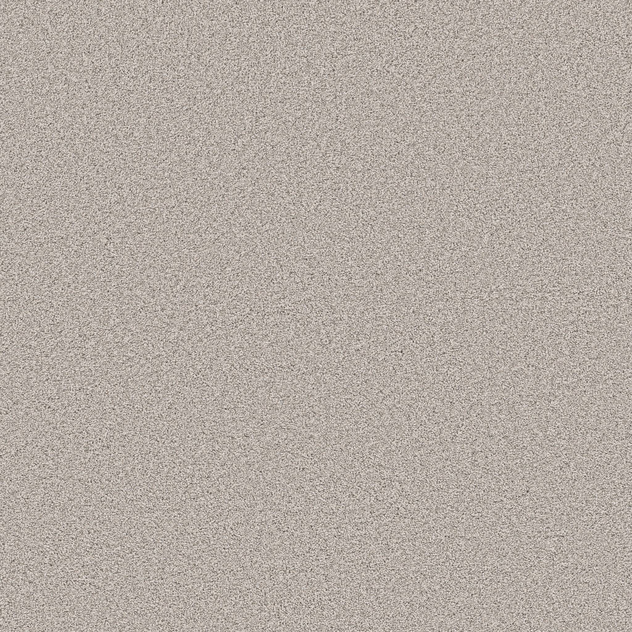 Superior Direction II Carpet - Fresco Zoomed Swatch Image