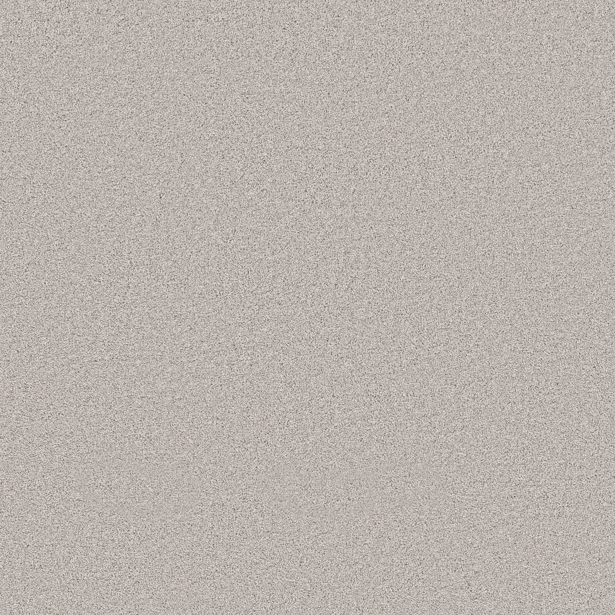 Superior Direction II Carpet - London Fog Zoomed Swatch Image