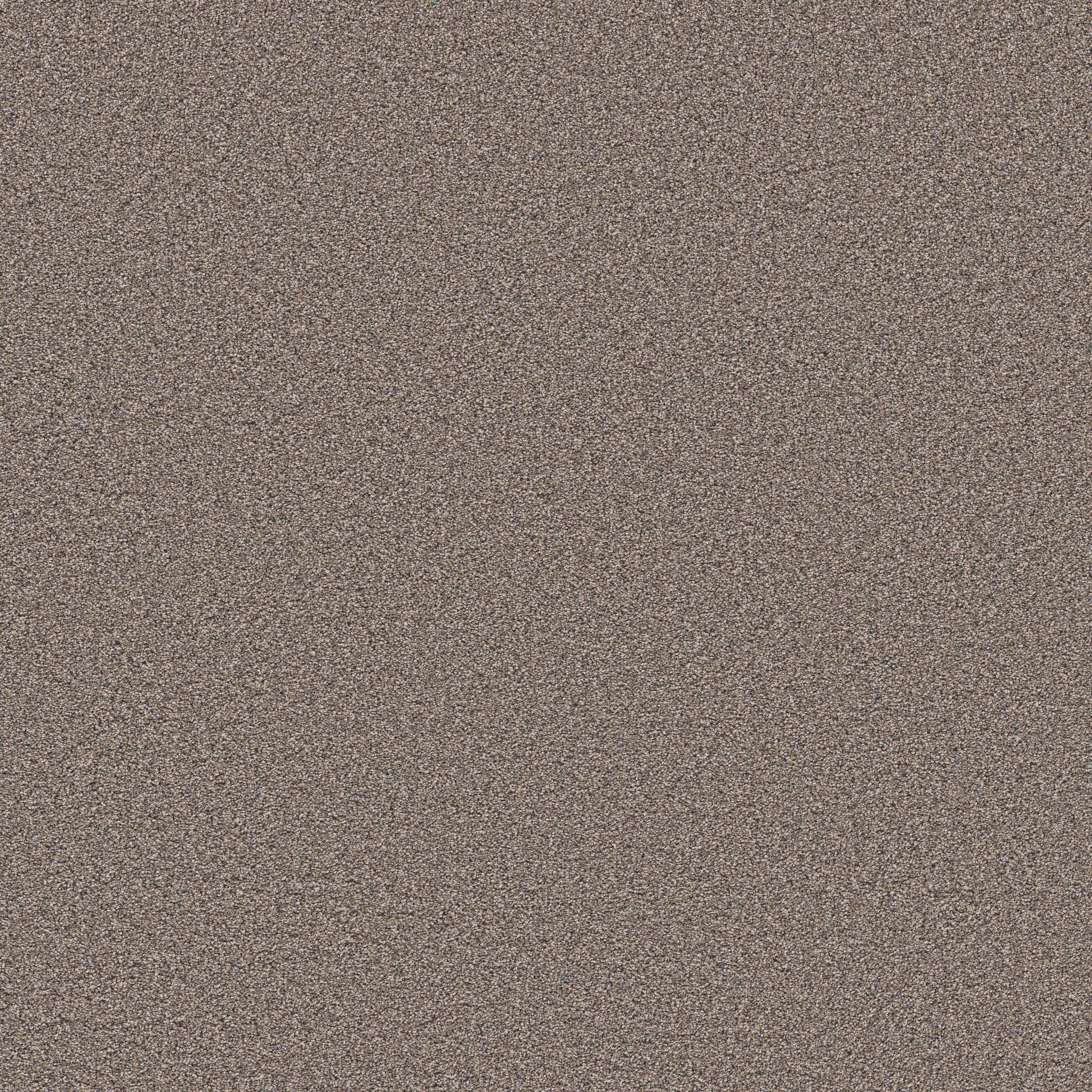 Superior Direction II Carpet - Mushroom Zoomed Swatch Image