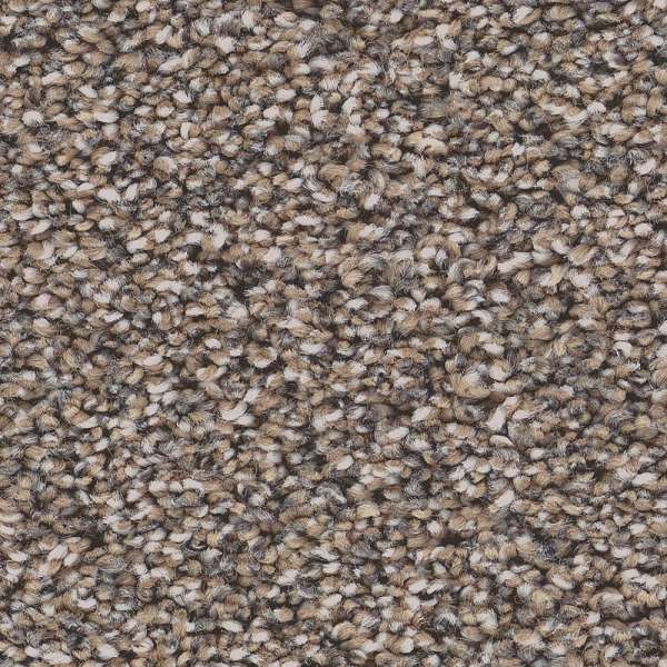 Style Superior Direction II Carpet - Mushroom Swatch