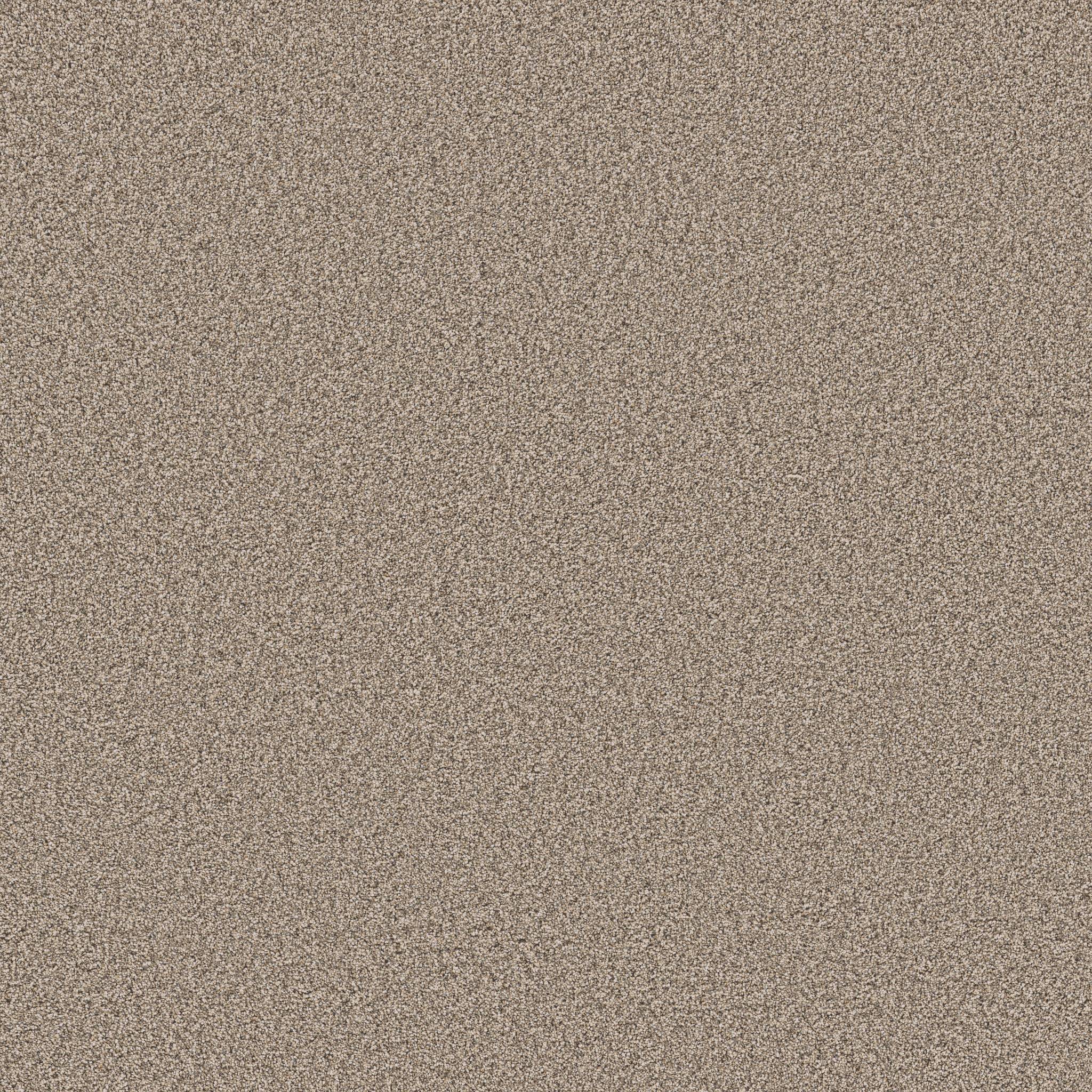 Superior Direction II Carpet - Stucco Zoomed Swatch Image