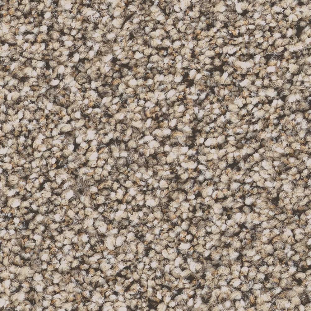 Superior Direction II Carpet - Stucco Swatch Thumbnail pupop1