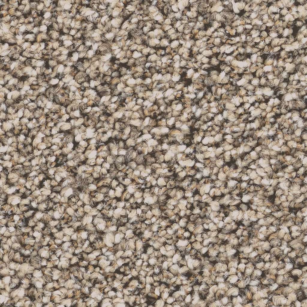 Superior Direction II Carpet - Stucco  Swatch Image 