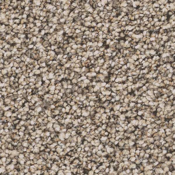 Style Superior Direction II Carpet - Stucco Swatch