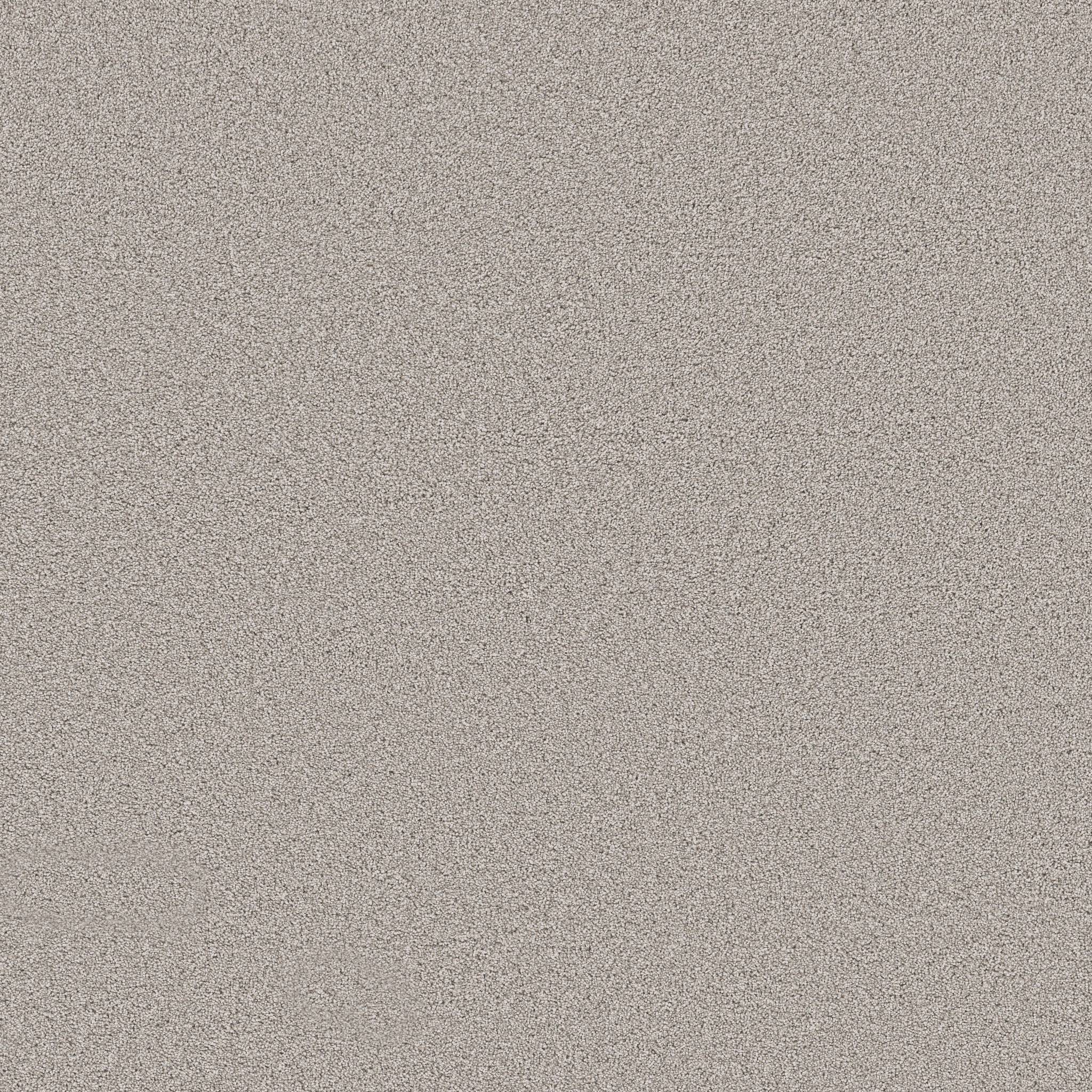 Superior Direction II Carpet - Gentle Wind Zoomed Swatch Image