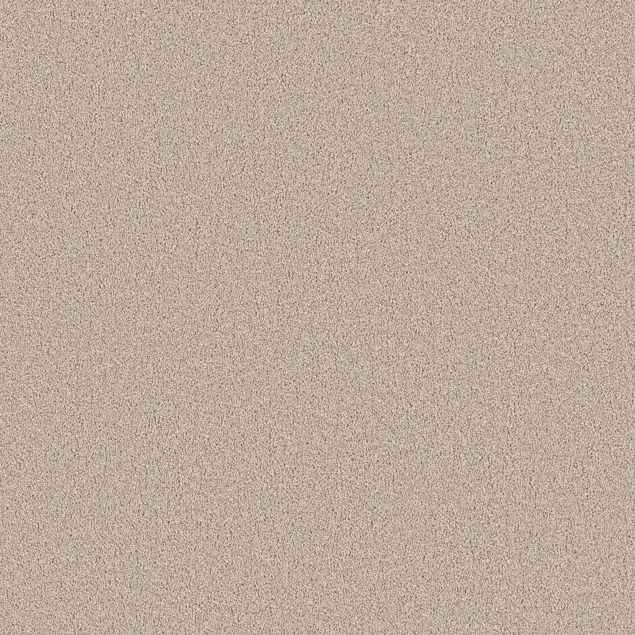 Superior Direction II Carpet - Satin Shimmer Zoomed Swatch Image