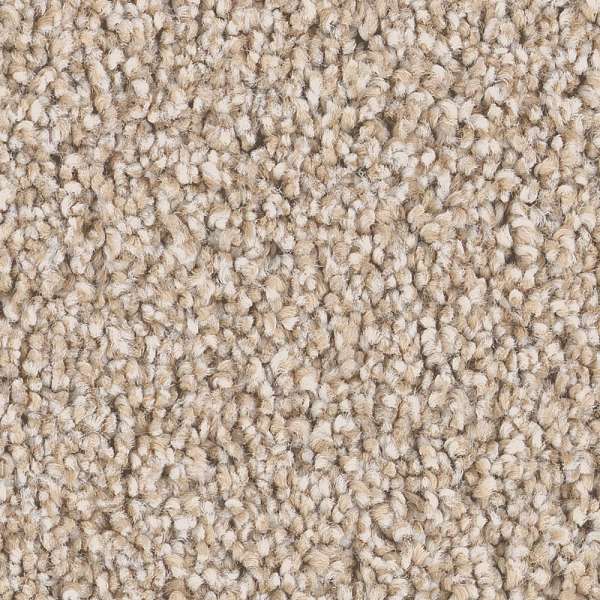 Style Superior Direction II Carpet - Satin Shimmer Swatch
