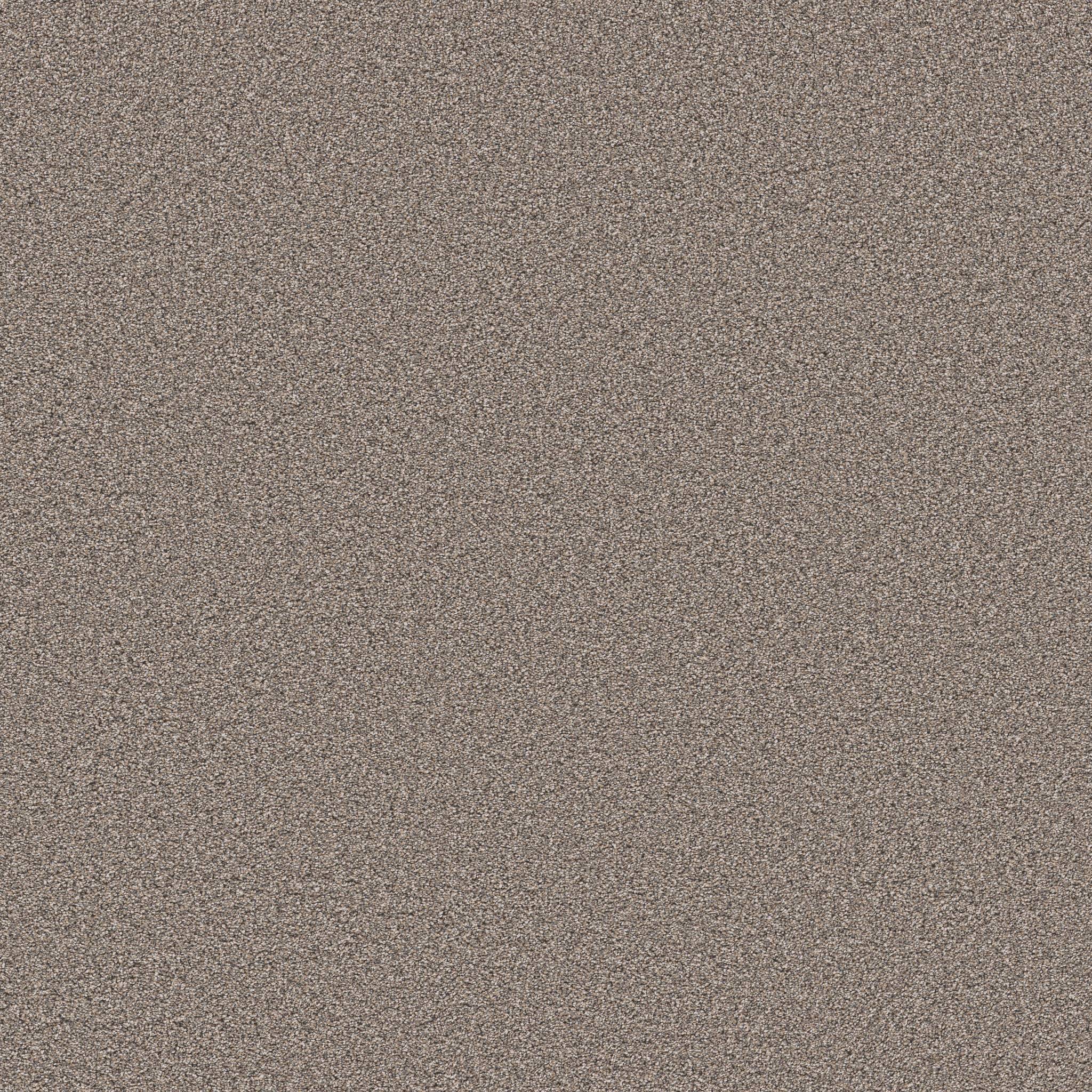 Superior Direction II Carpet - Stepping Stone Zoomed Swatch Image