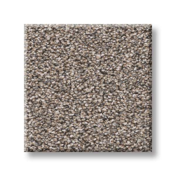 Style Superior Direction II Carpet - Stepping Stone Swatch