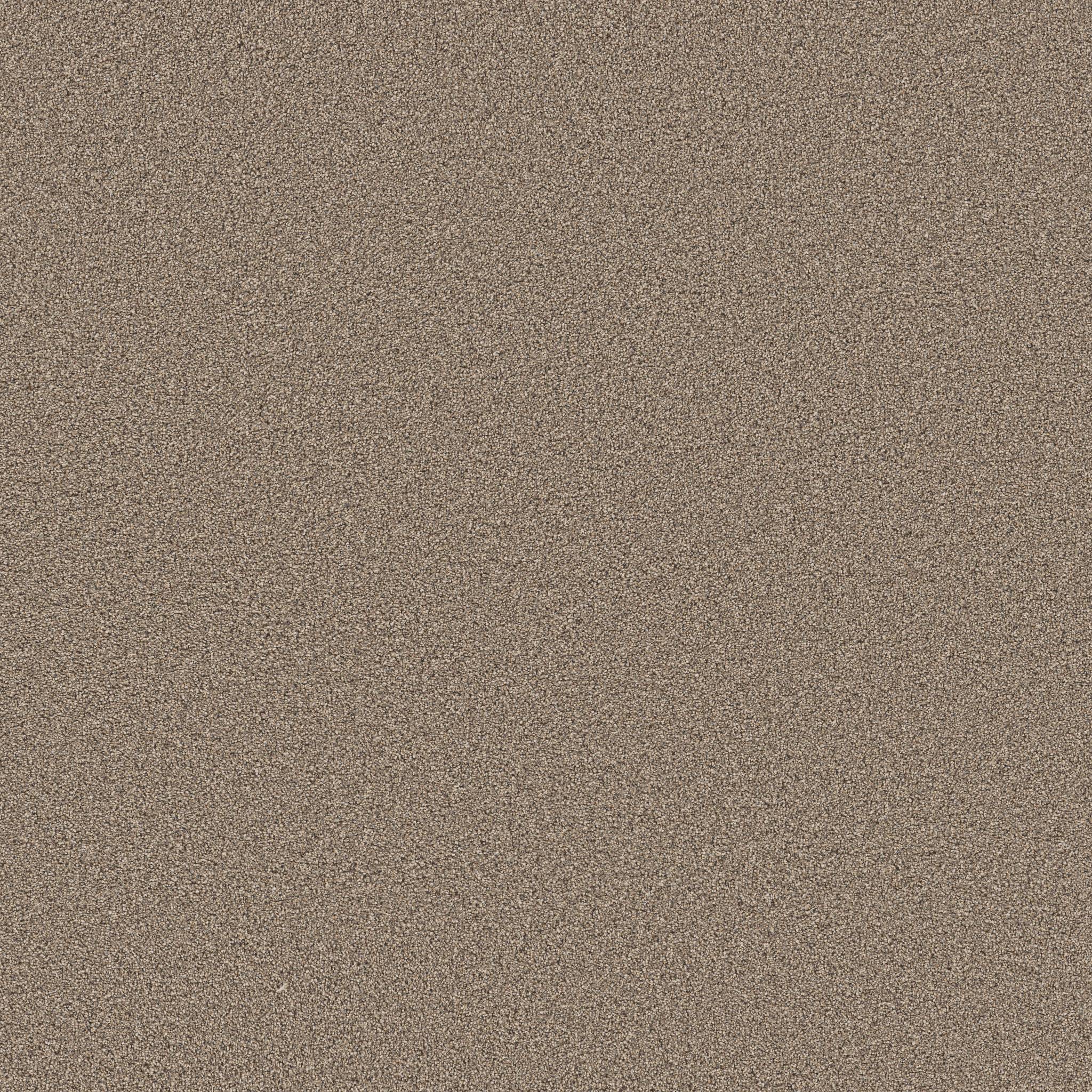 Superior Direction II Carpet - Summer Straw Zoomed Swatch Image
