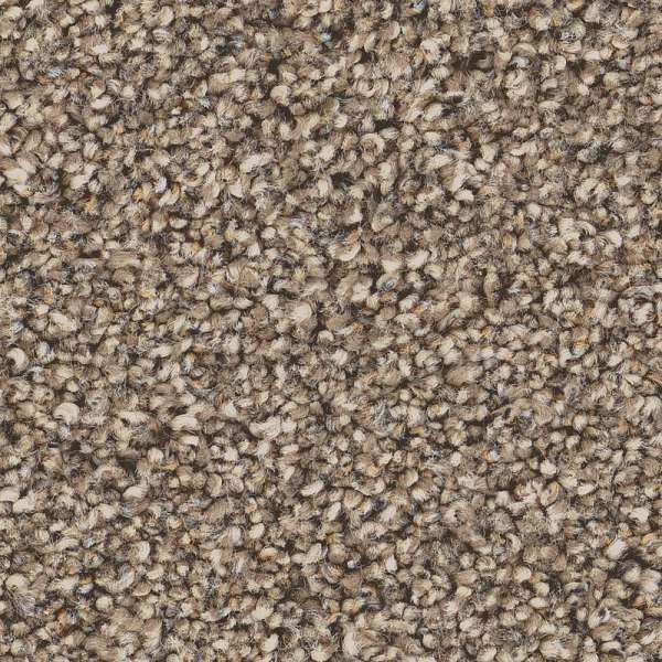 Style Superior Direction II Carpet - Summer Straw Swatch