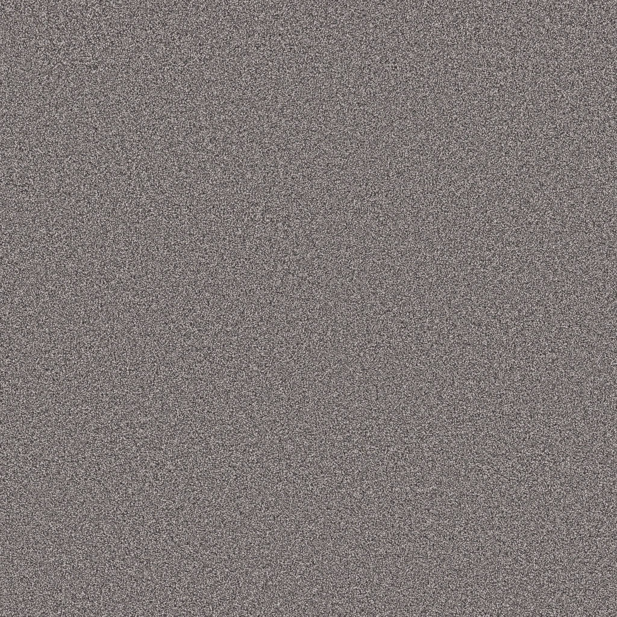 Superior Direction II Carpet - Charcoal Luster Zoomed Swatch Image