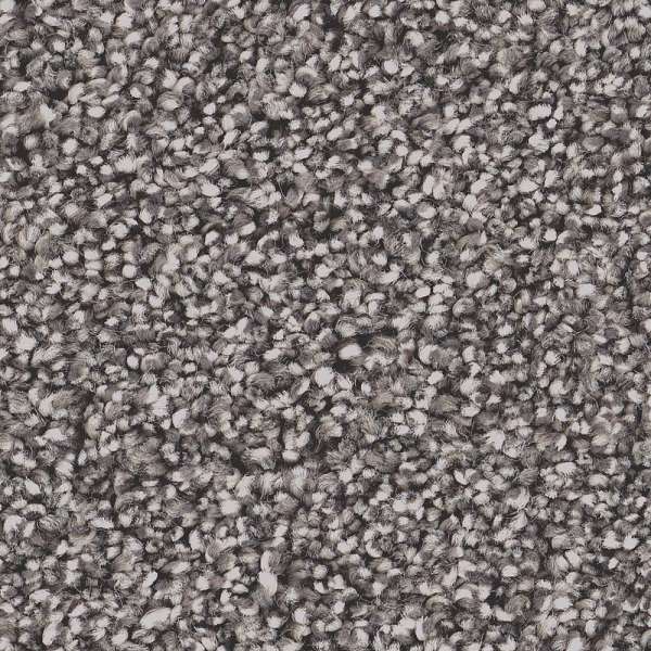 Style Superior Direction II Carpet - Charcoal Luster Swatch
