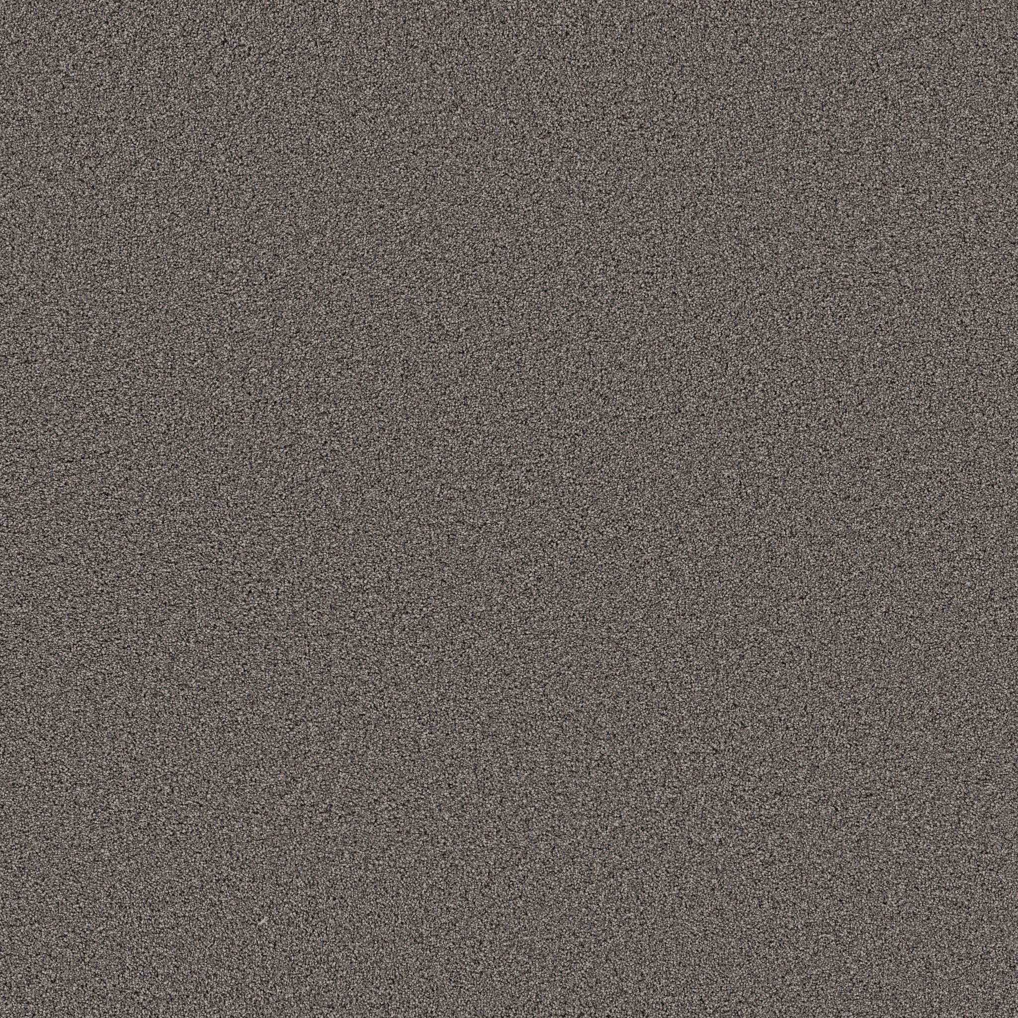 Superior Direction II Carpet - Knighthood Zoomed Swatch Image