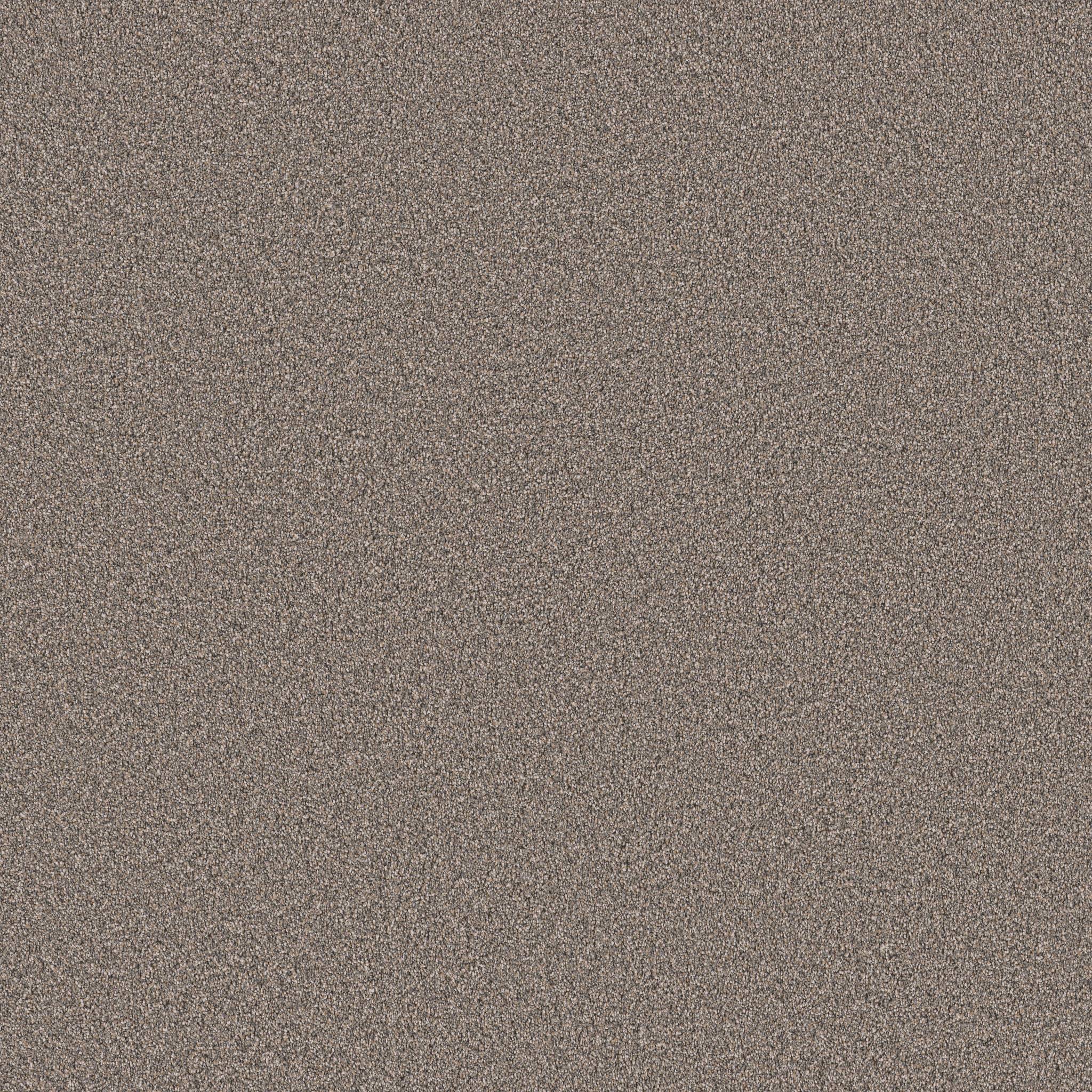 Superior Direction II Carpet - Castle Rock Zoomed Swatch Image