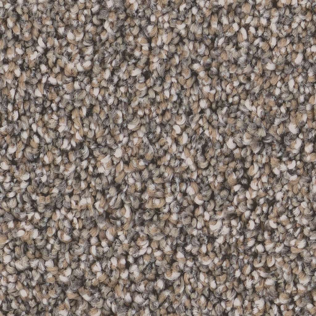 Superior Direction II Carpet - Castle Rock  Swatch Image 