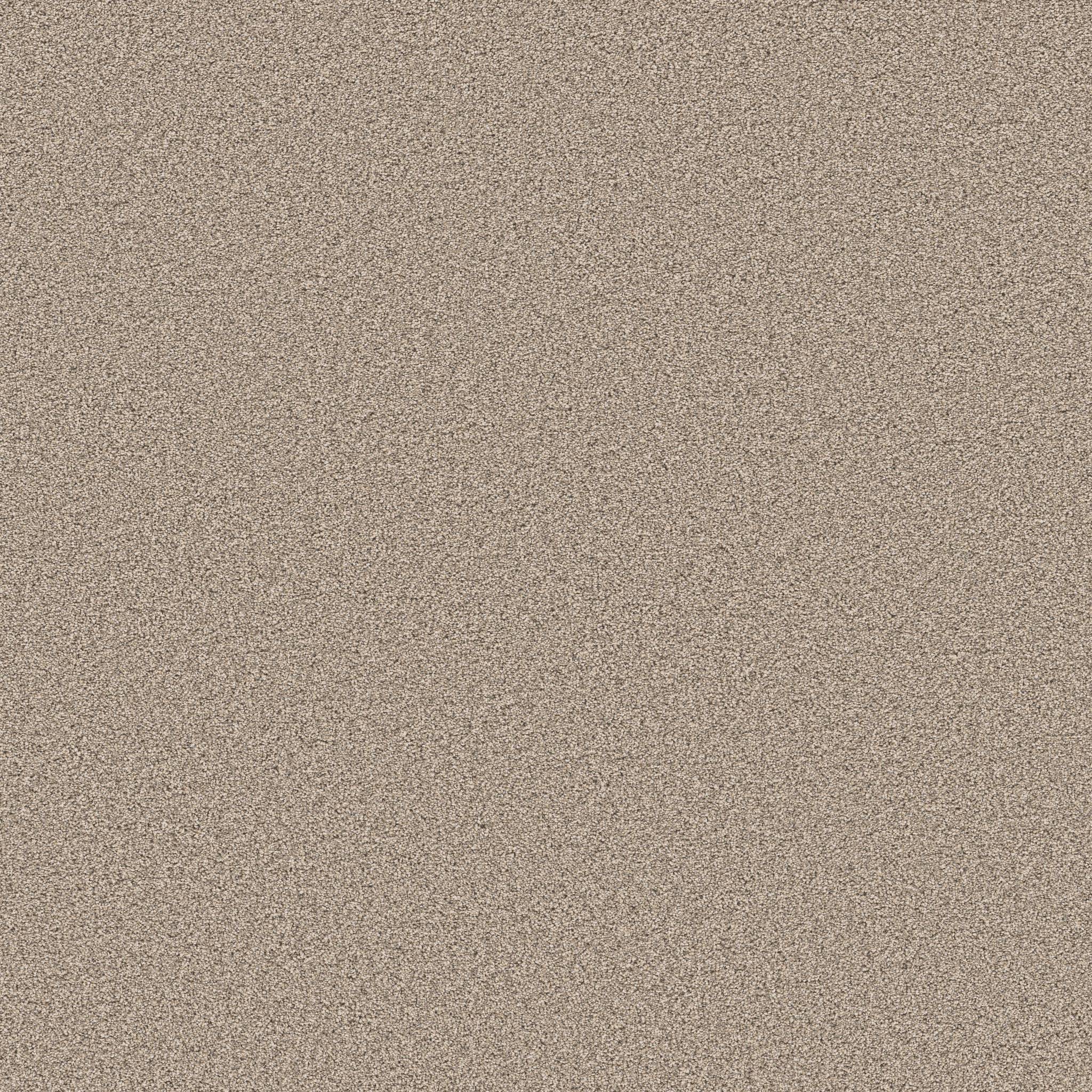 Superior Direction II Carpet - Sand Hill Zoomed Swatch Image