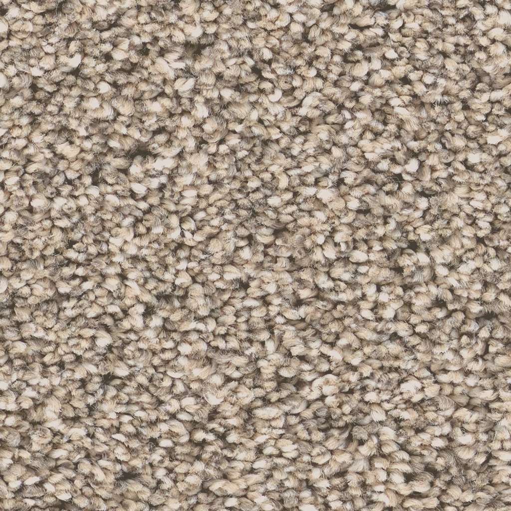 Superior Direction II Carpet - Sand Hill  Swatch Image 