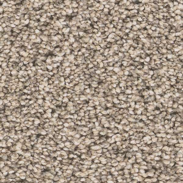 Style Superior Direction II Carpet - Sand Hill Swatch