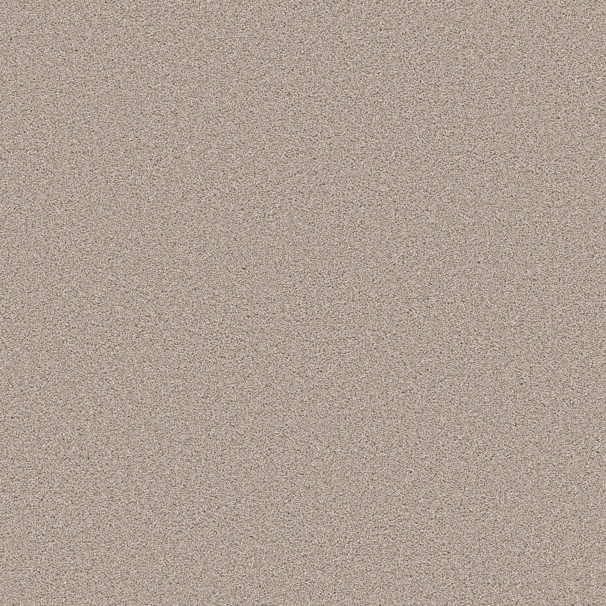 Superior Direction II Carpet - Pebble Zoomed Swatch Image