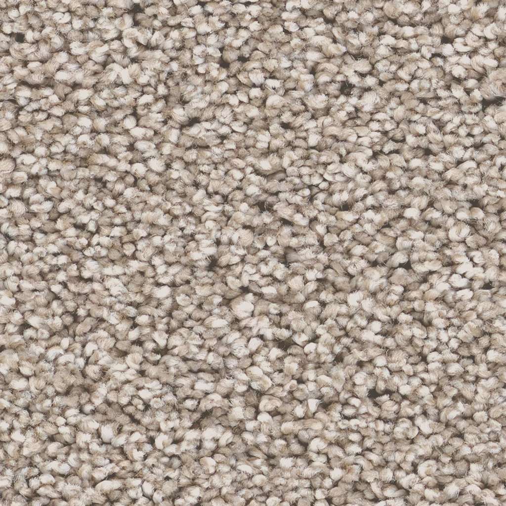 Superior Direction II Carpet - Pebble  Swatch Image 