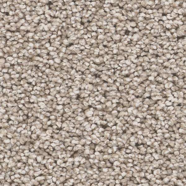 Style Superior Direction II Carpet - Pebble Swatch