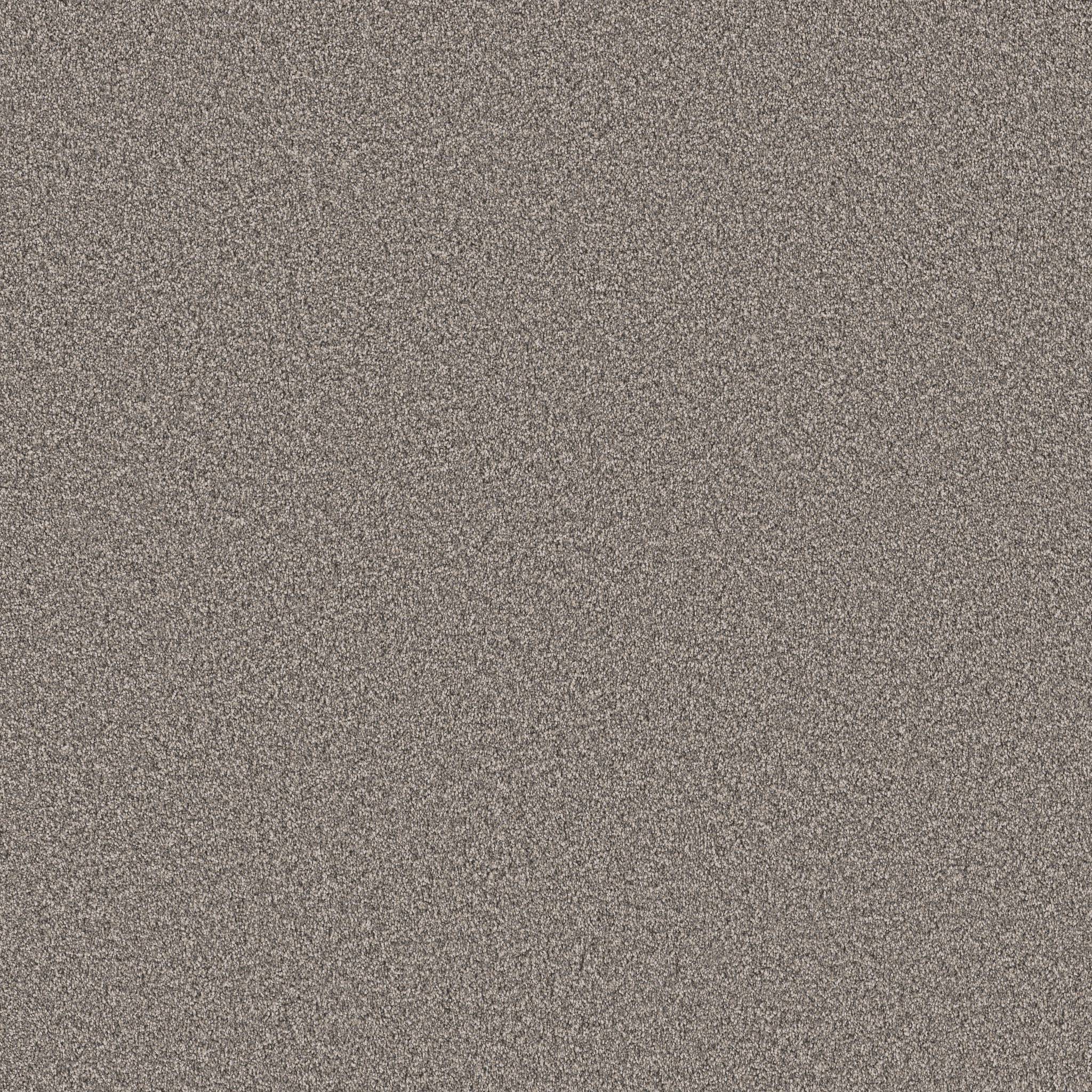Superior Direction II Carpet - Earth Tone Zoomed Swatch Image