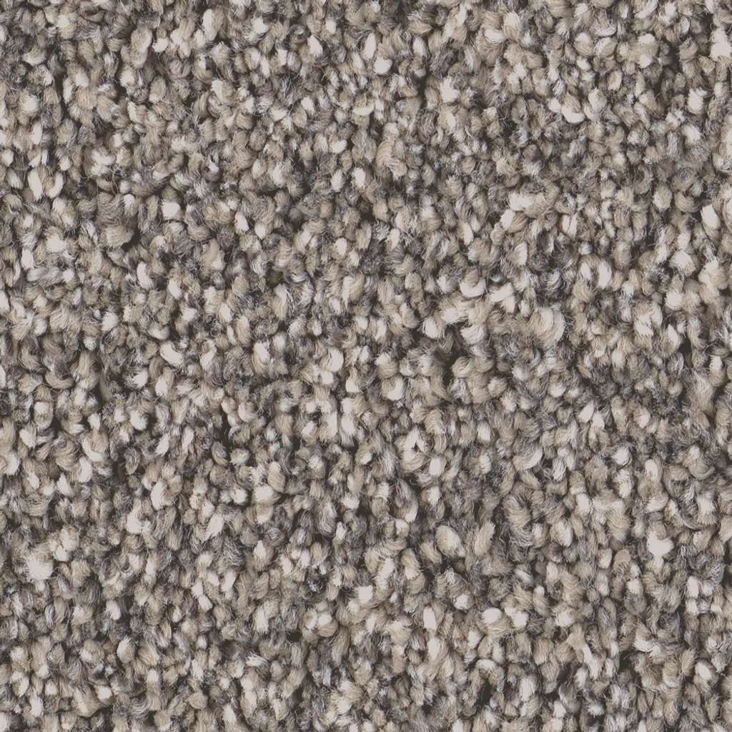 Superior Direction II Carpet - Earth Tone  Swatch Image 