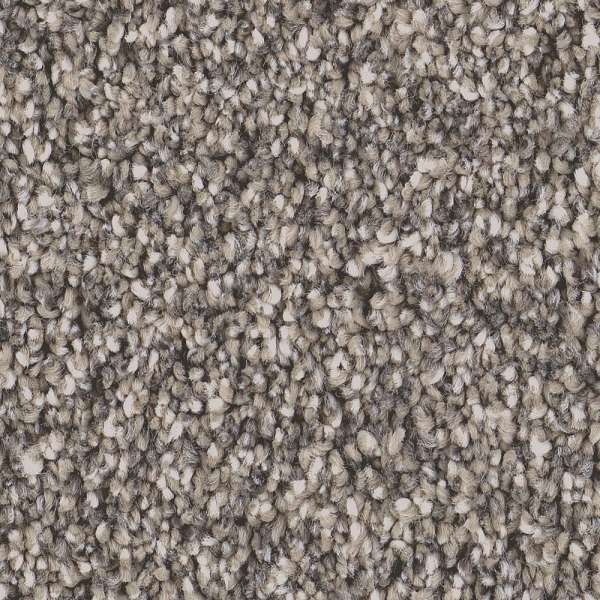 Style Superior Direction II Carpet - Earth Tone Swatch
