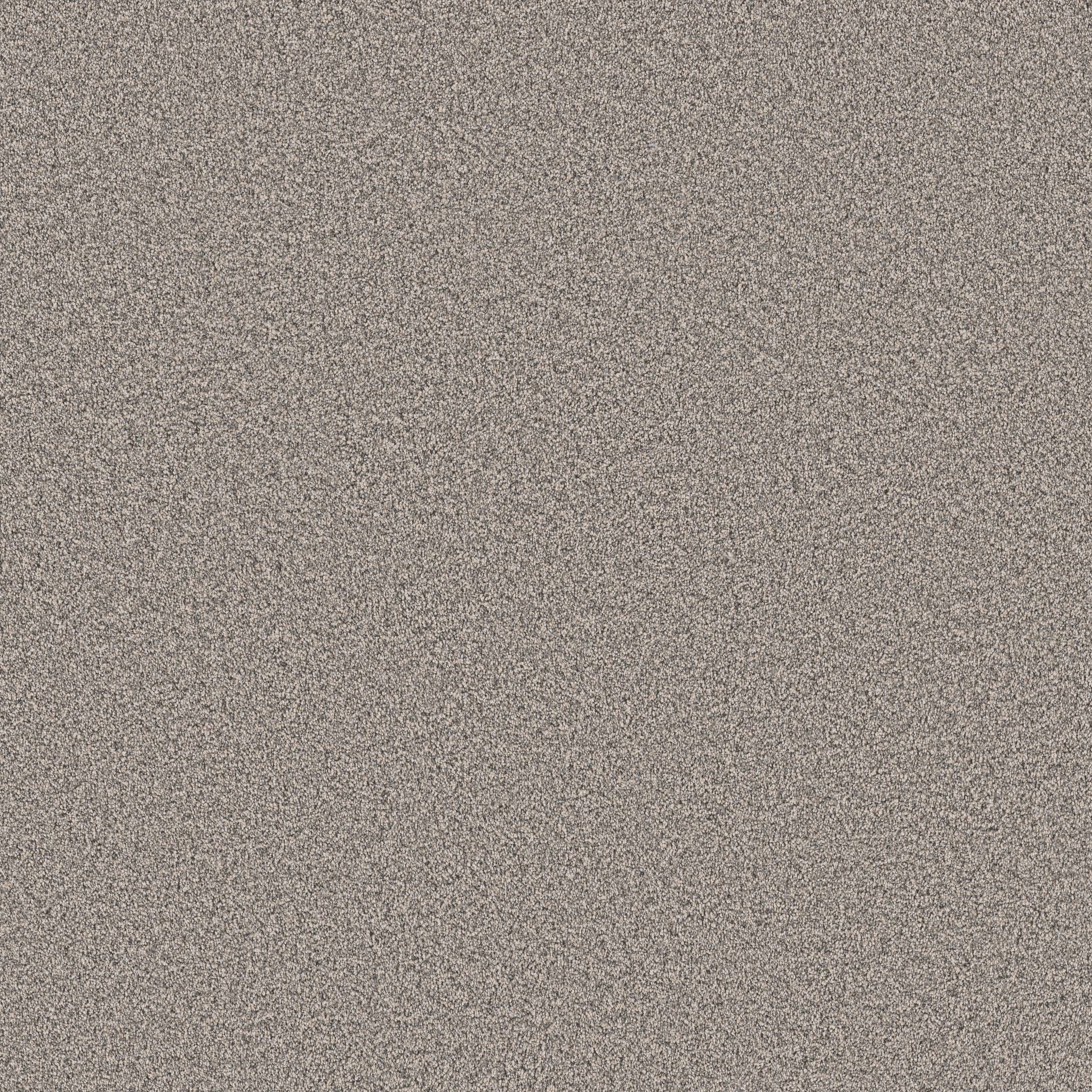 superior direction iii smc71 - platinum Costco | Shaw Carpet: Berber ...