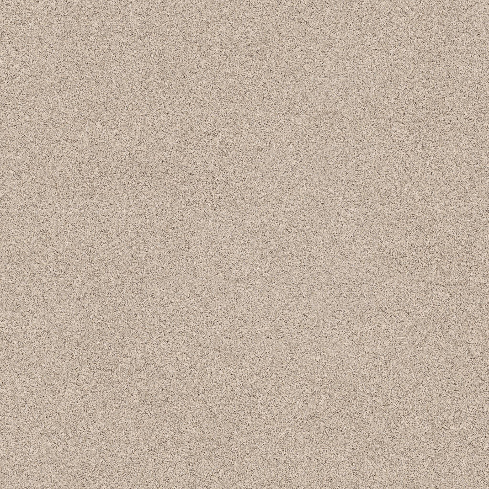 Confidential Quest Carpet - Dune View Zoomed Swatch Image