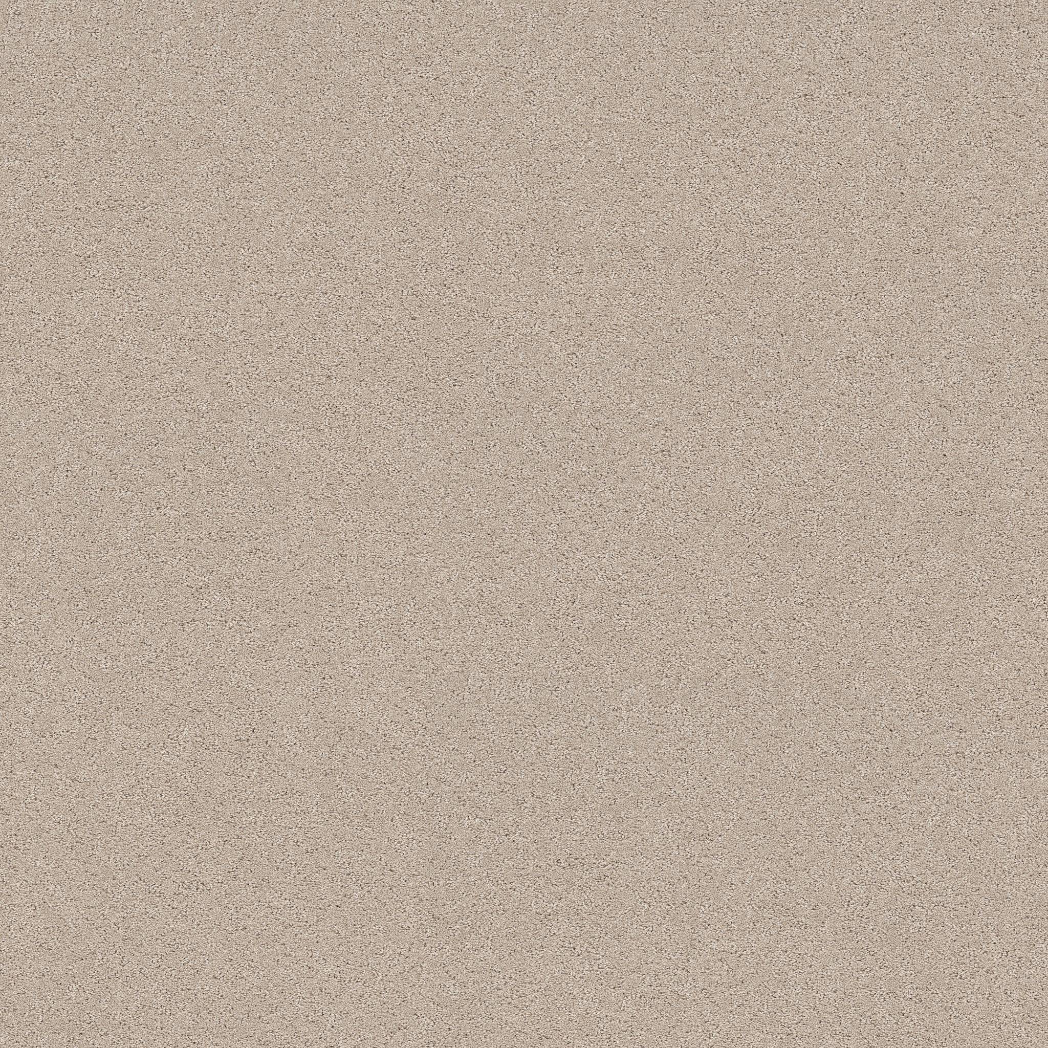 Confidential Quest Carpet - Cafe Latte Zoomed Swatch Image