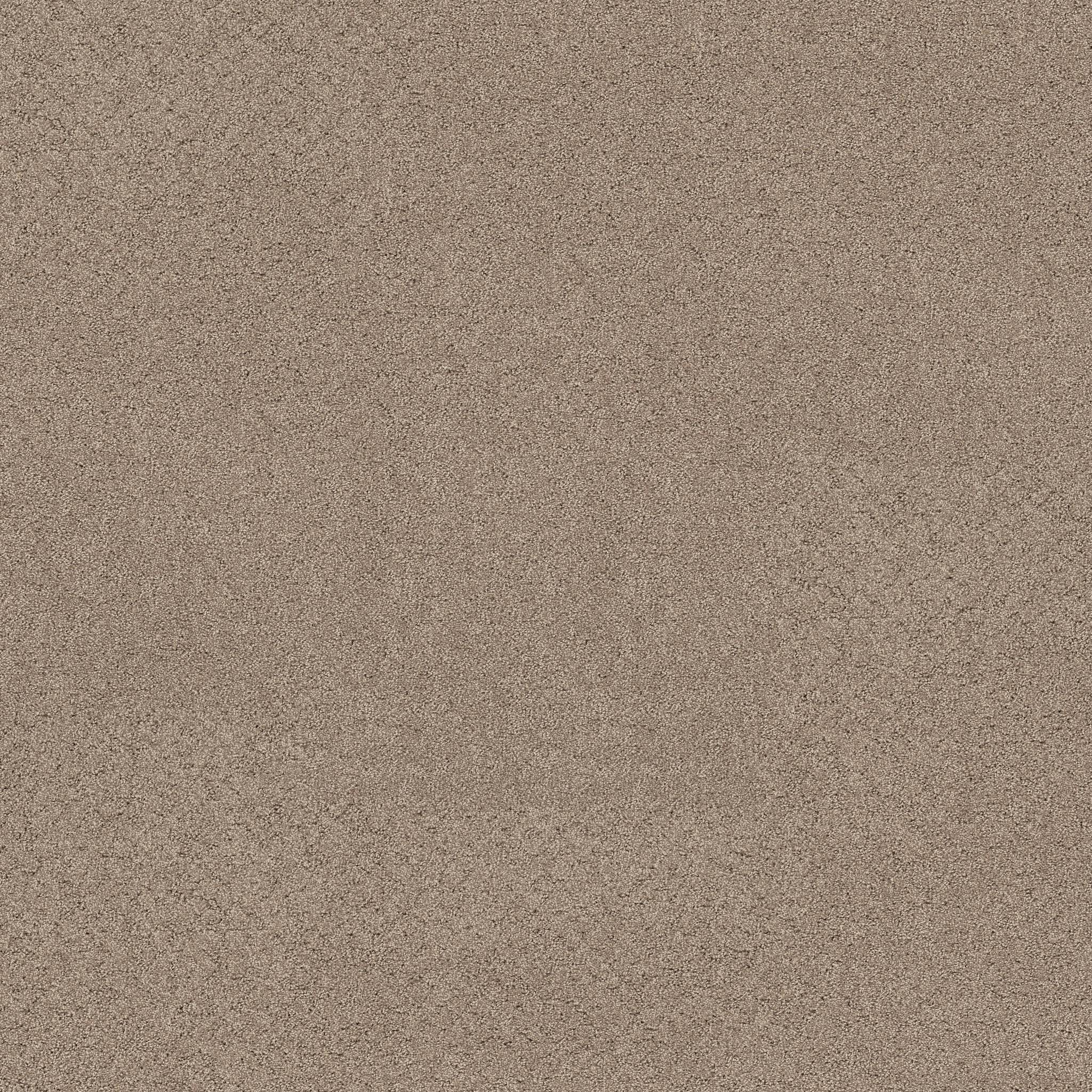 Confidential Quest Carpet - Stonecrest Zoomed Swatch Image